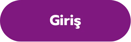 Giriş